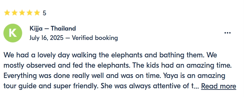 pon elephpant chiangmai thailand reviews